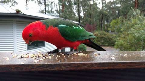 Photo: Karma Kinglake Photo: Karma Kinglake